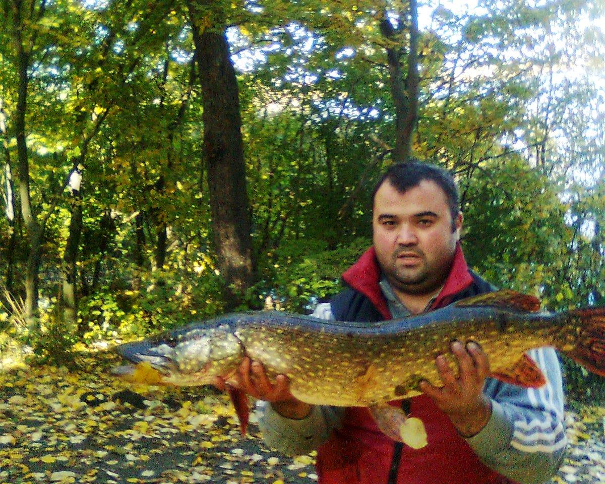 pescuit ,pur si simplu - stiuca-facau-7-kg.jpg